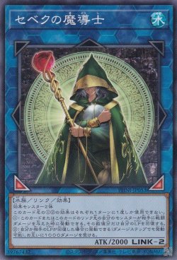 画像1: セベクの魔導士