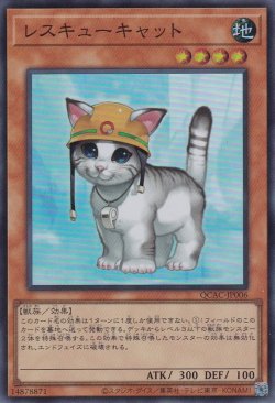 画像1: レスキューキャット